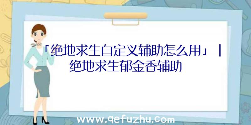 「绝地求生自定义辅助怎么用」|绝地求生郁金香辅助